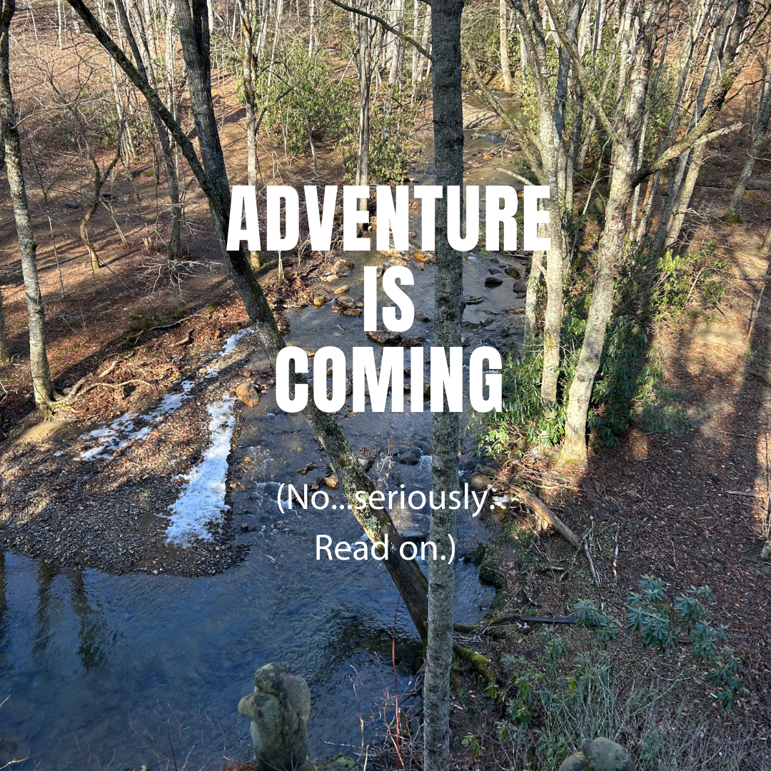 WoolTribe Journal - Sunday, March 9, 2025